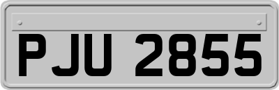 PJU2855