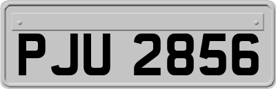 PJU2856