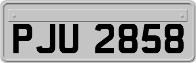 PJU2858
