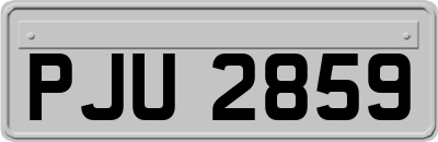 PJU2859