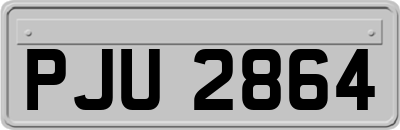 PJU2864