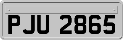 PJU2865