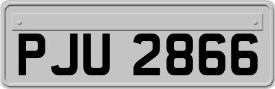 PJU2866