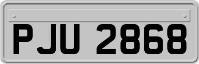 PJU2868