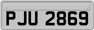 PJU2869