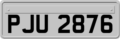PJU2876