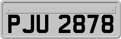 PJU2878