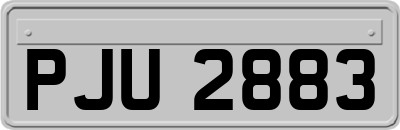 PJU2883