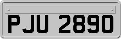 PJU2890