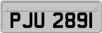 PJU2891