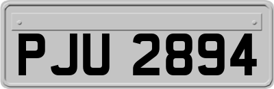 PJU2894