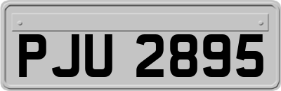 PJU2895