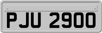 PJU2900