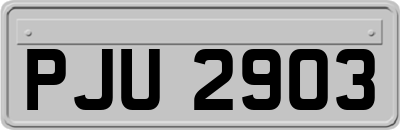 PJU2903
