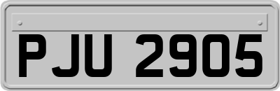 PJU2905