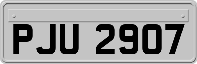 PJU2907