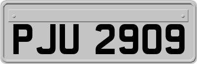 PJU2909