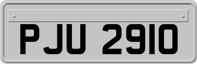 PJU2910