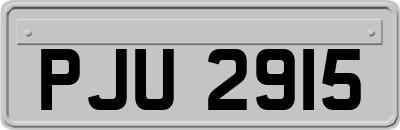 PJU2915