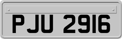 PJU2916