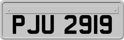 PJU2919