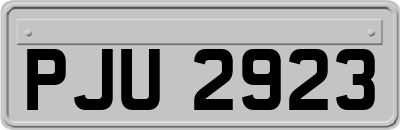 PJU2923