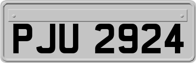 PJU2924