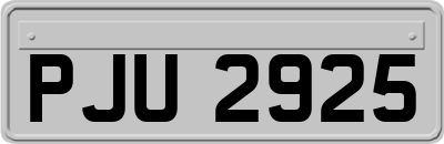 PJU2925