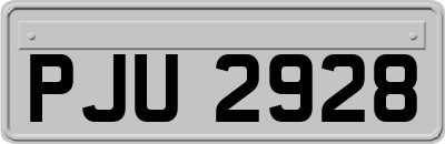 PJU2928