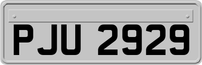 PJU2929