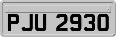 PJU2930