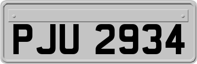 PJU2934