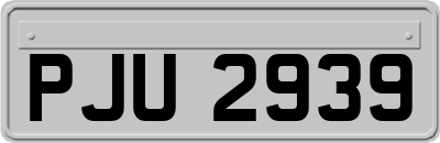 PJU2939