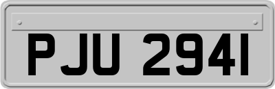 PJU2941