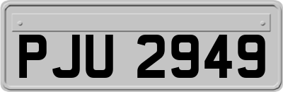 PJU2949