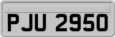 PJU2950