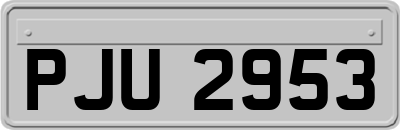 PJU2953