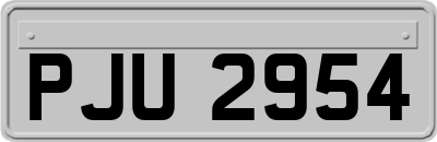 PJU2954