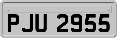 PJU2955