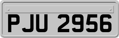 PJU2956