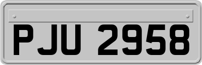PJU2958
