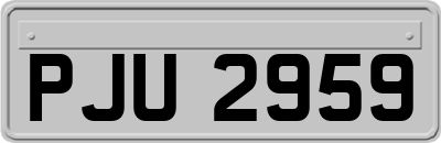PJU2959