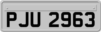 PJU2963