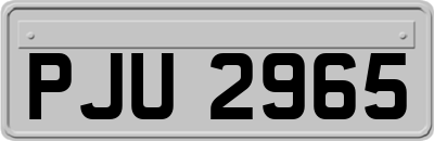 PJU2965
