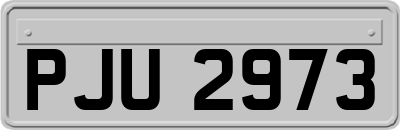 PJU2973