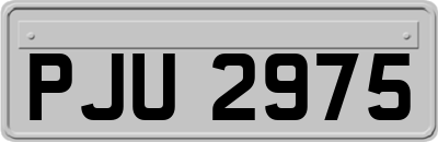 PJU2975