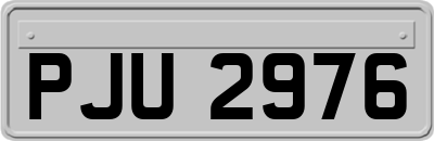 PJU2976