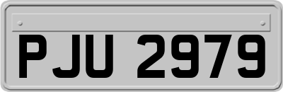 PJU2979