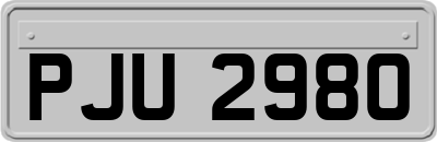 PJU2980