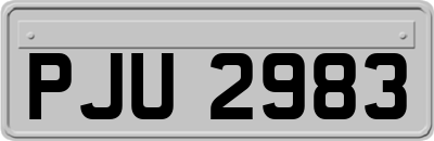 PJU2983